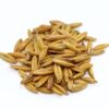 Bob Oat Seed