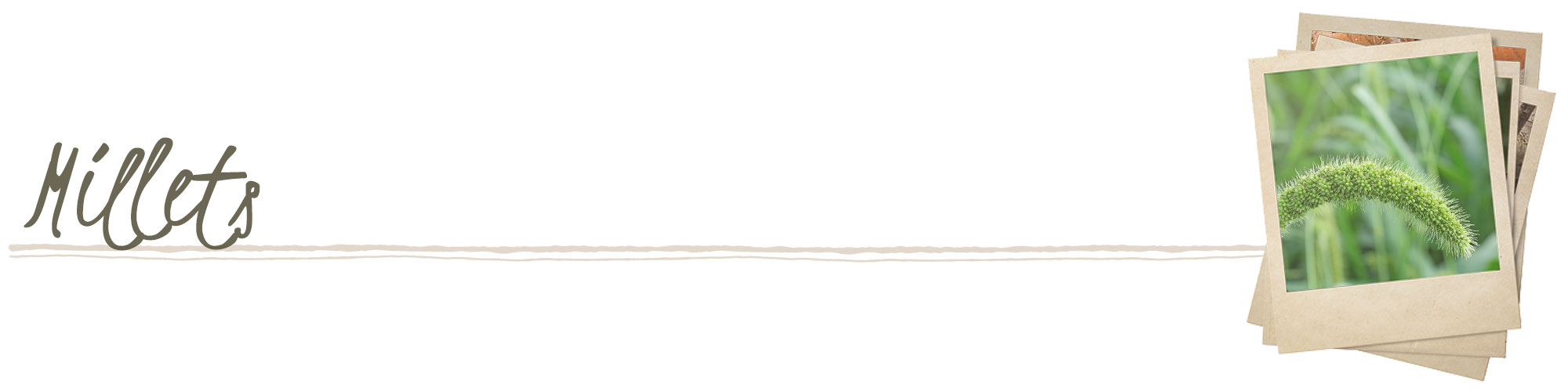 Millets