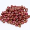 Hybrid Pearl Millet Seed (with seed treatment)