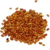 VNS Alfalfa seed