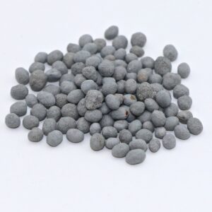 Dixie Crimson Clover 50 lb bag