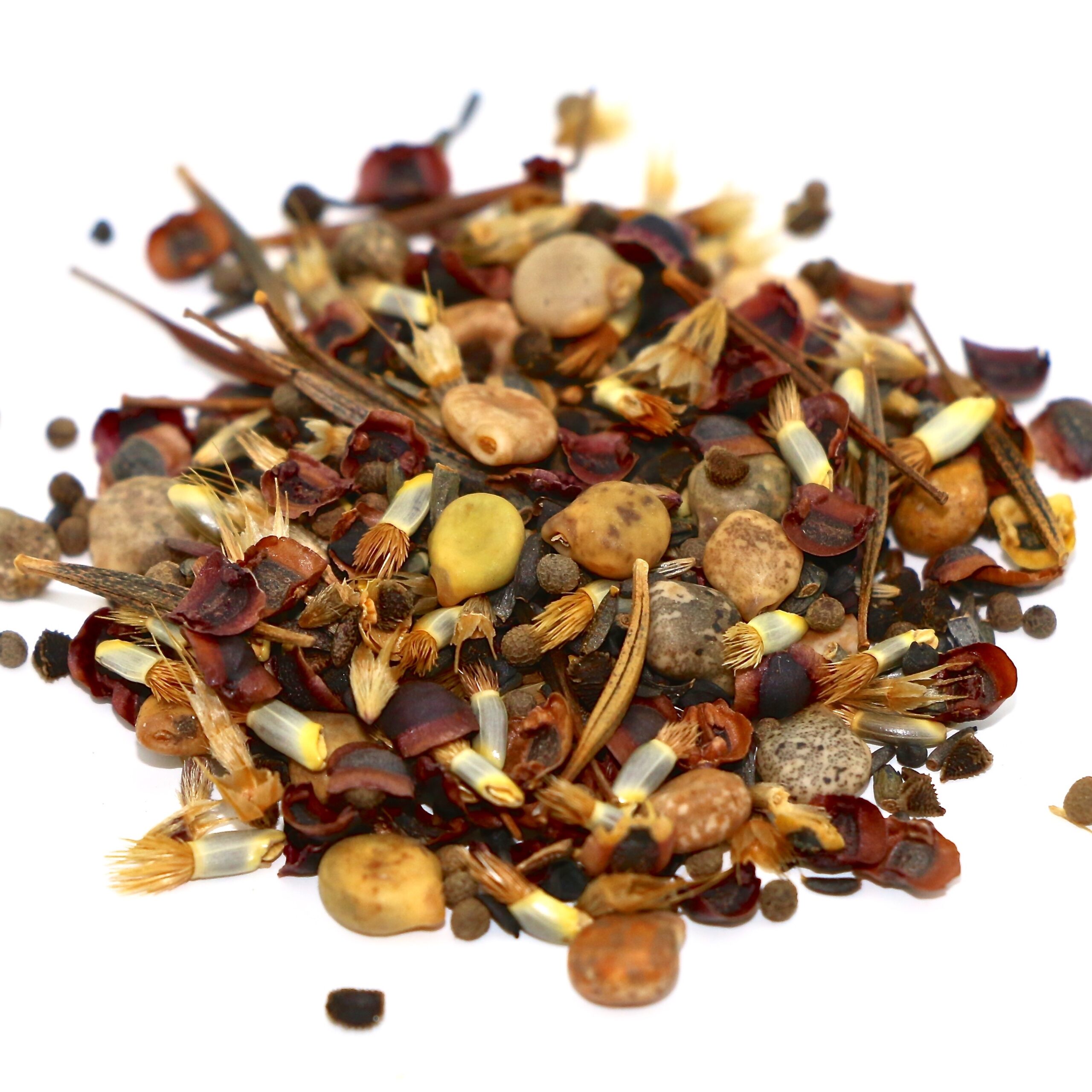 TexOkla Wildflower Mix seed TexOkla Wildflower Mix seed