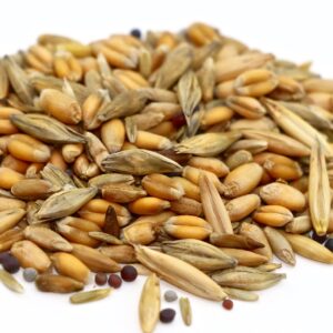 Graze-It-All Fall Pasture Blend – 50 lb bag