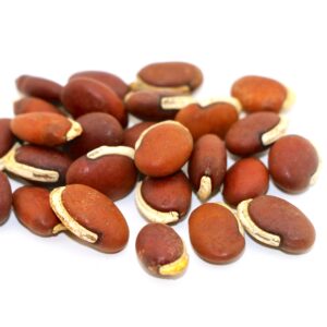 Rongai Lablab – 50 lb bag