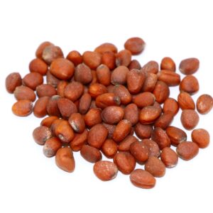 Daikon Radish 50 lb bag