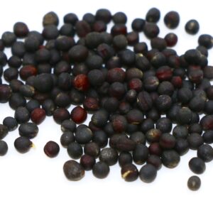 Dwarf Essex Rapeseed 50 lb bag