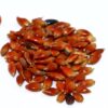 Piper Sudangrass Seed