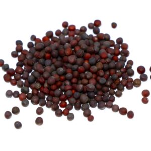 Purple-Top White Globe Turnips 50 lb bag