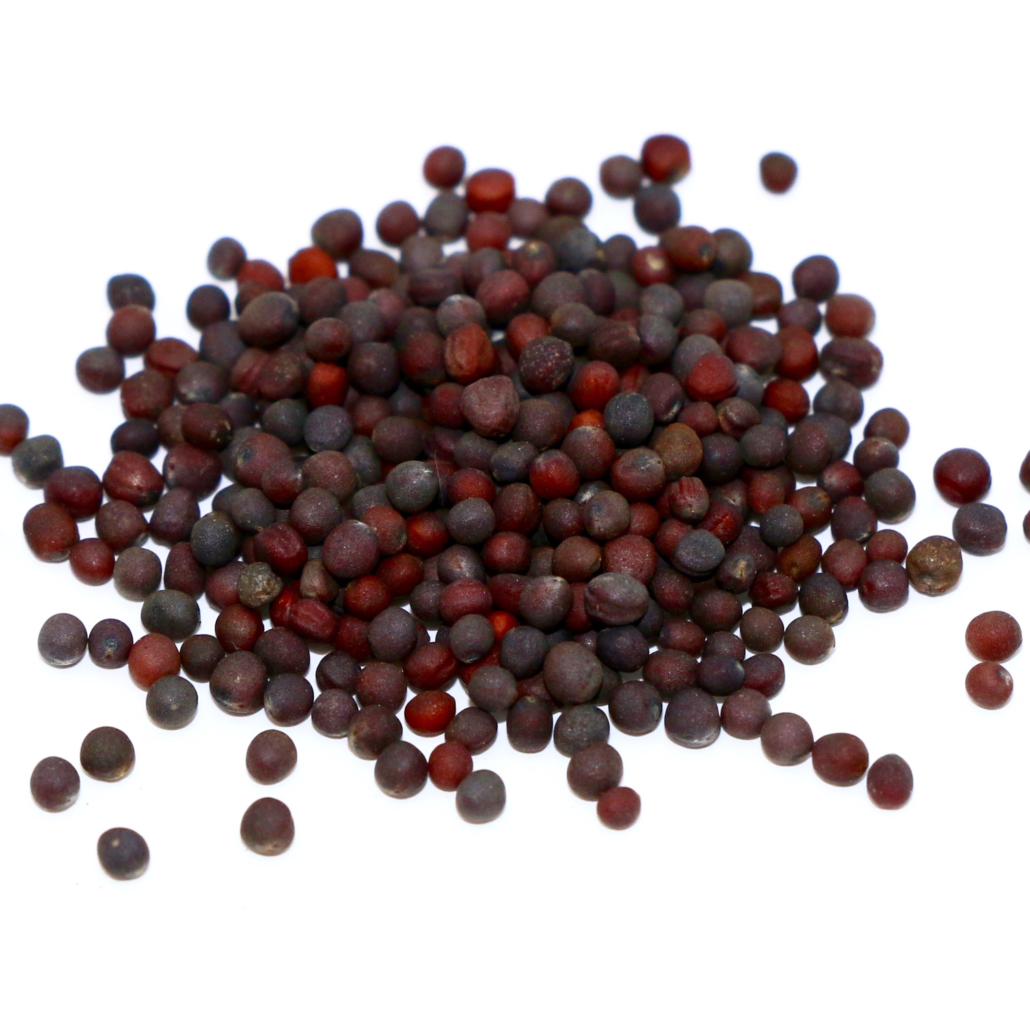 Purple-top White Globe Turnip seed Purple-top White Globe Turnip seed