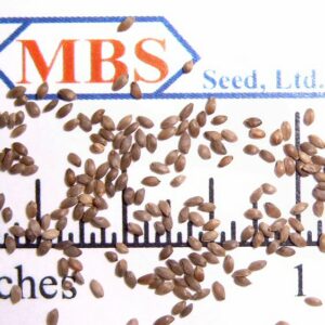 Giant Bermudagrass, Unhulled 50 lb bag