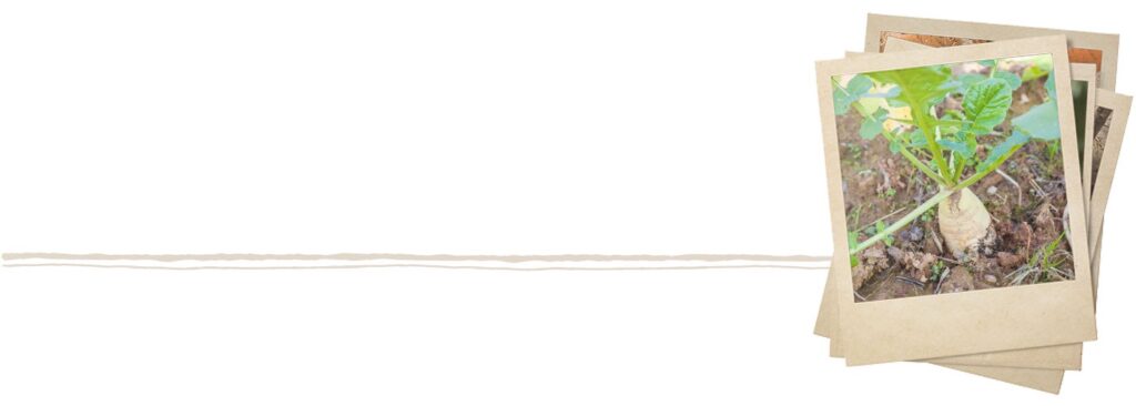 Cover Crop With Category Underline