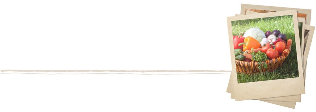 Vegetables in Basket With Category Underline