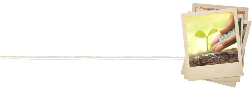 Small Plant With Category Underline